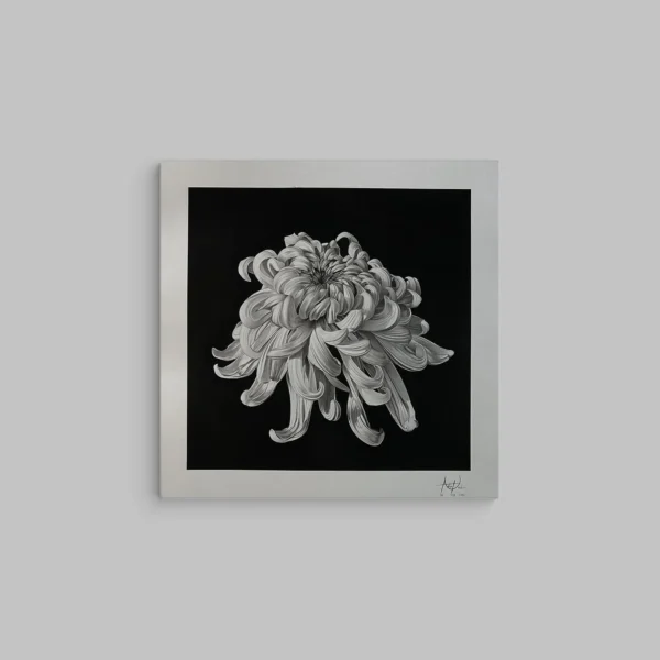 podowart s paint 10ml. Vitri Design Studio